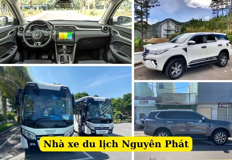Thuê xe ô tô Nguyên Phát Quy Nhơn